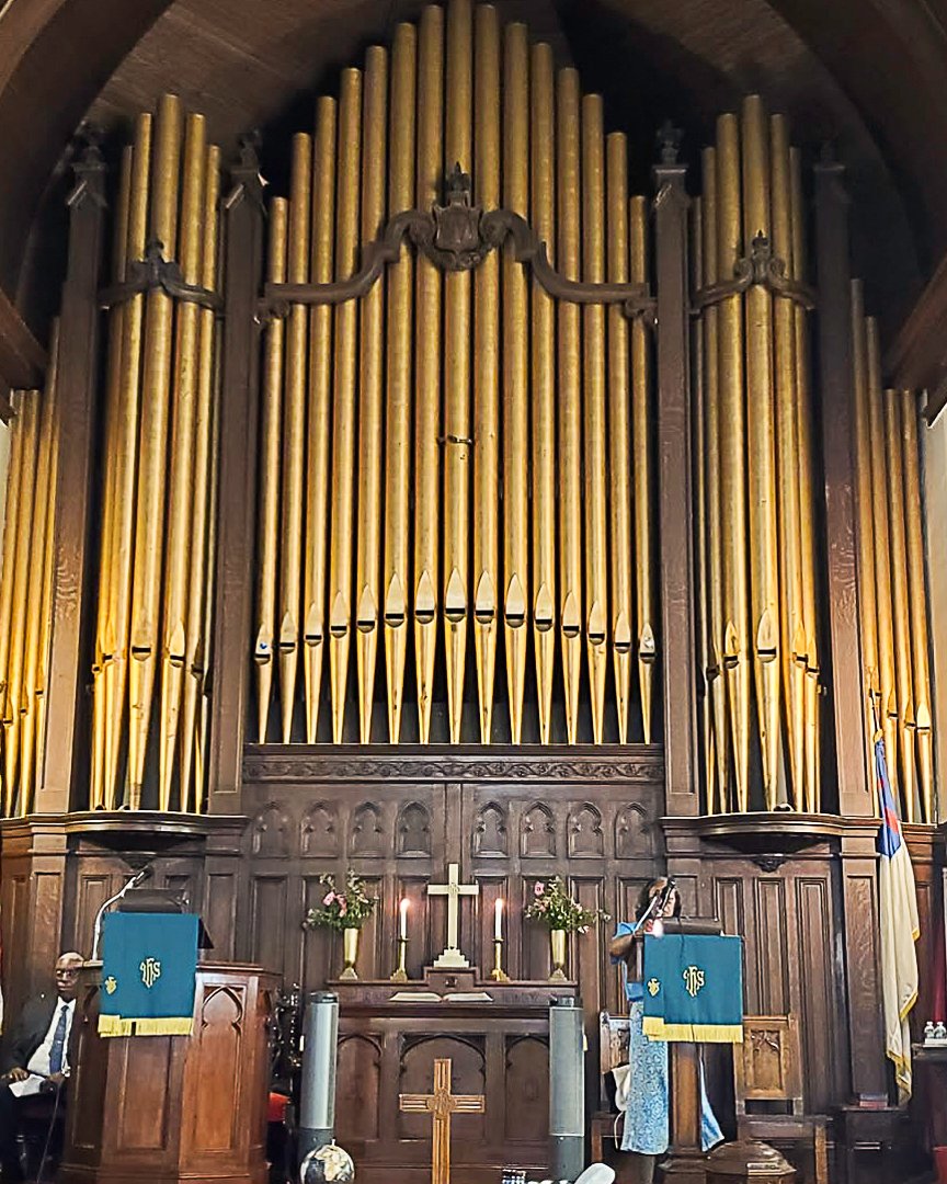 organ pipes